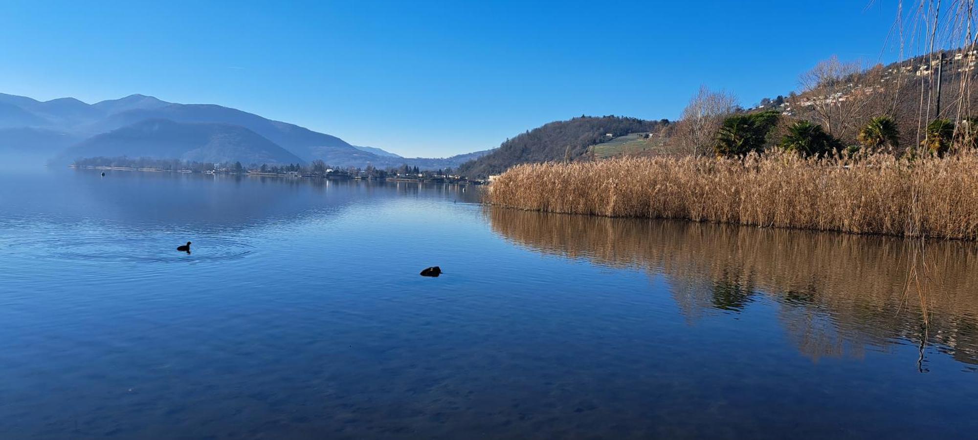La Torretta * Locarno
